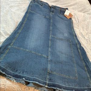 Long Jean Skirt